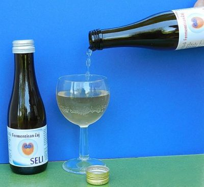 Kombucha (kombuča) lipa