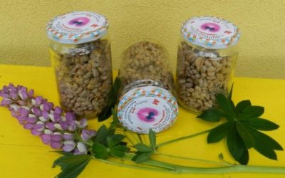 Natto – fermentirana soja